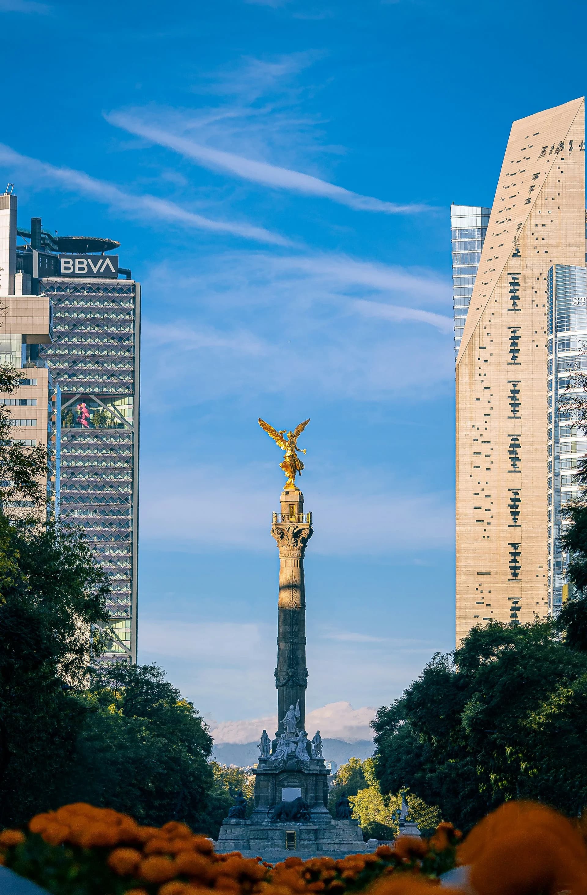 Mexico Experience