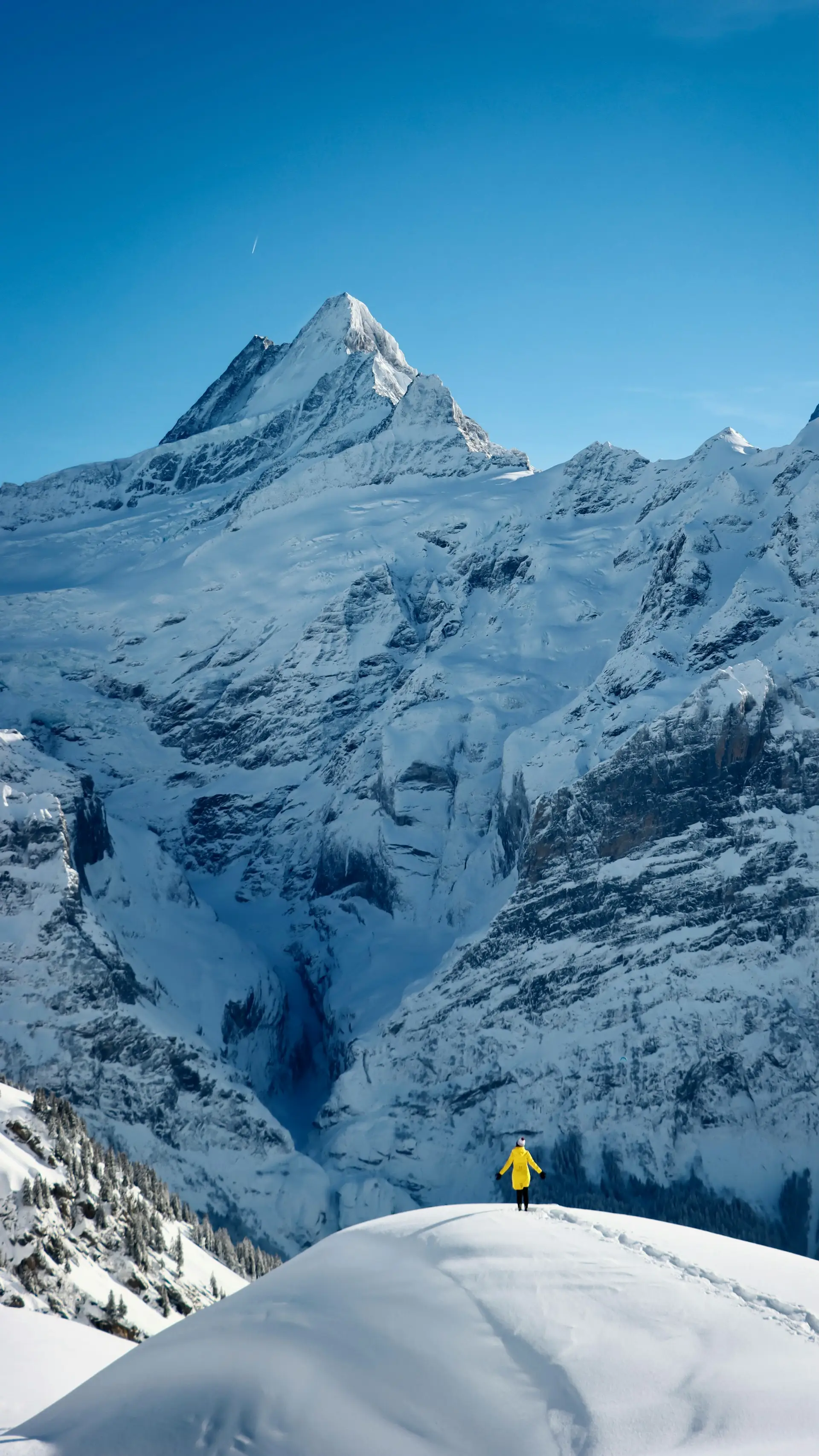 Swiss Alps